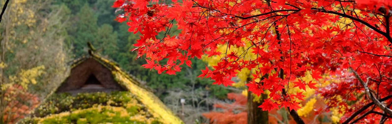 東大阪市の電気工事会社です